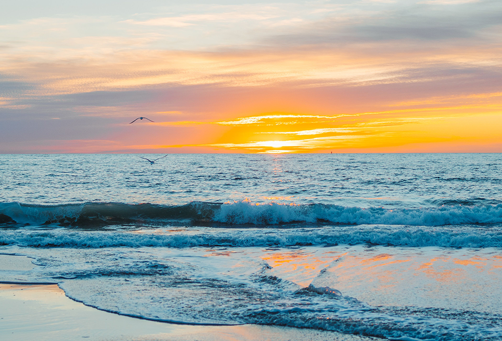 a bird flying over the ocean at sunset